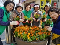 동구 효동, 새마을부녀회 새봄맞이 화단조성