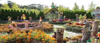 셀프웨딩&리웨딩 촬영지로 사계절 휴양지 태안이 뜬다!