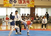제16회 대전시장기 태권도대회, 800여명 참가 성황