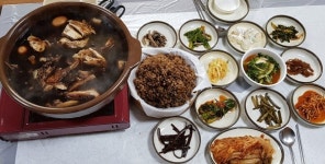 산삼에 비견되는 토담골의 황칠나무 백숙