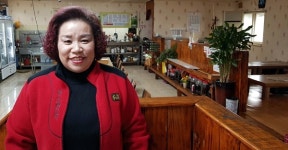 산삼에 비견되는 토담골의 황칠나무 백숙
