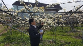 청양군장평면, 이상저온 피해조사 나서
