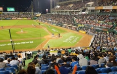 대전교육청, 한화이글스와 교육소외 가정 야구 관람 지원