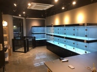 강아지 분양 바른독 포메, 비숑, 푸들, 치와와를 전문으로 바르게 분양합니다