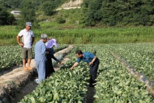 금산군, 폭염 장기화 대비 긴급지원