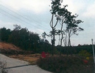 지지옥션 추천 9월 첫째 주 경매물건