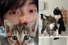 JBJ 김용국, 반려묘 학대 의혹 당신에게도 악마가 있을지 모른다 일침