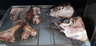 황토맥반석가마로 구워내는 참치구이 참치가 황토로92