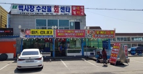 안면도 백사장항 제철 수산물 명소 백사장수산물 회센터