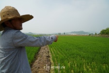 진입 안 돼 중장비 막아선 천안 직산읍 주민