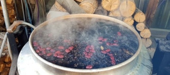 야관문 동초한우 | 당진 '한약방 식당 마도리'를 아십니까