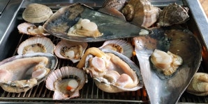 대천해수욕장 명소 신대천맛집조개구이횟집