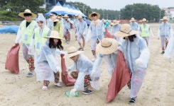 순천향대 총학생회, 깨끗한 청포대 해수욕장 만들기 앞장