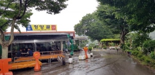 삼복더위 보양식 블랙 푸드의 왕 흑염소 청양골