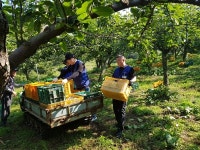 농협대전유통, 로컬푸드 출하농가 찾아 일손돕기