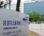 삼성디스플레이, 세계 최초로 퀀텀닷에 13조1000억 투자