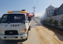 아산서 고병원성 의심 AI 바이러스 검출