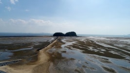 서천갯벌, 철새 이동경유지로 중요성 부각