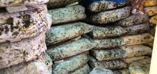 25년 전통 전라도 손맛의 보양식 순천추어탕