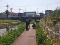 대전 동구, 대동천 우기 대비 조기점검