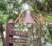 녹음(綠陰)가득한 대청호, 명상정원으로 재탄생