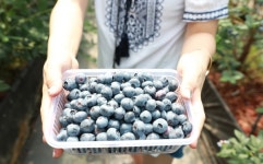 한 박자 쉬고 싶을 땐 청양치유여행 