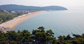 활기로 가득찬 당진시 난지도
