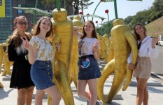 제39회 온라인 금산인삼축제 9일 개막..인삼캐기체험 등