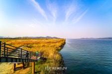 서천 갯벌과 서해 낙조, 그리고 금강하굿둑