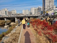 동구 성남동, 대동천의 아름다운 변신