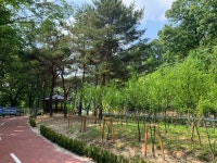 대전 중구, 산서로 일원 위험도로 개선사업 준공