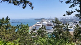 서산시 황금산,  등산로 폐쇄 표지판 만연