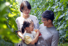 내 아이도 먹는 친환경농산물에 도전