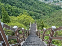 세종시 '꾀꼬리봉과 장군봉', 이렇게 즐겨볼까