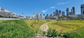 세종시 나성동 백화점 부지, 언제쯤 제 용도로 쓸까