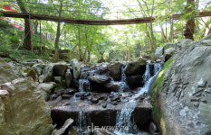 아산 강당골, 무더위 날려주는 심산유곡