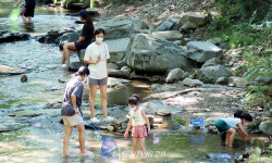 아산 강당골, 무더위 날려주는 심산유곡