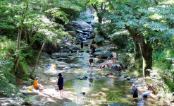 아산 강당골, 무더위 날려주는 심산유곡