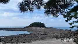 태안군 솔향기길, 무르익은 가을로 몸살 중