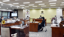 백제용역자판기 | 충남도의회 행문위 "문화재단, 용역계약 의존" 지적