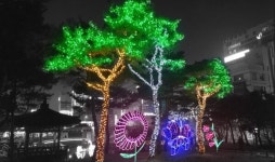 대덕구, 동춘당역사공원 야간 경관조명 설치