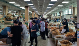 코로나 펜데믹 영향인가 금산인삼 수삼가격 상승세