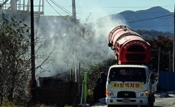 천안시 서북구 산란계농장서 고병원성 AI 발생