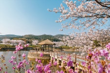 경칩···당진시 봄나들이 코스는 어디?