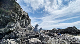 별주부전 모태 태안군 원청리 별주부마을 이야기