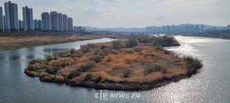 개통 3일차 금강 보행교 가능성 vs 보완 과제 동시 노출