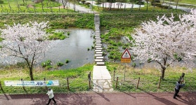서산시 성연천 산책로는 주민 힐링공간