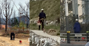 천안시, 삼룡천 인근 주민 목줄 없는 푸들에 덜덜