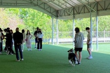 연암대학교, 여주자영농업고등학교 재학생 대상