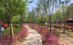 천안시, 도시 바람길 숲 조성사업 순항...10월 완료 예정